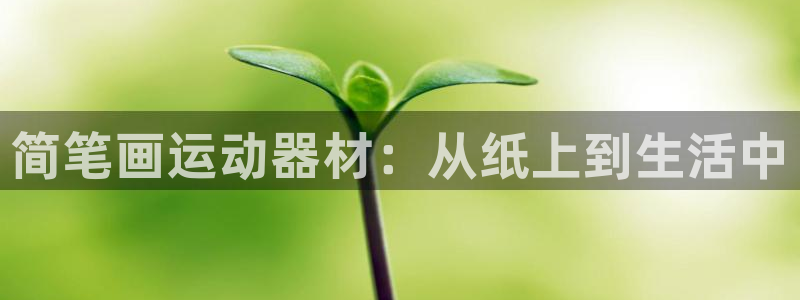 海南意昂体育4发展怎么样：简笔画运动器材：从纸上到生