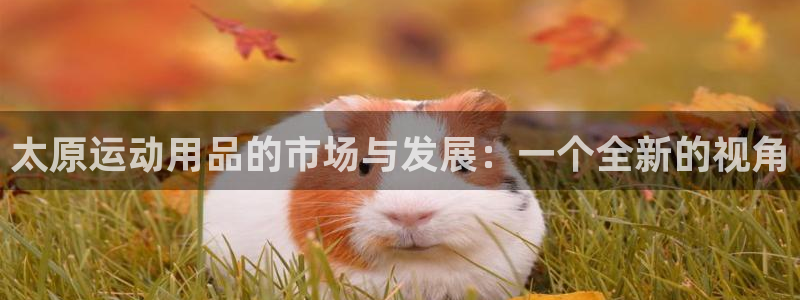 意昂体育4招商电话号码是多少：太原运动用品的市场与发