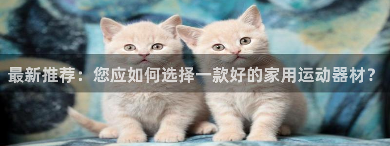 意昂体育4平台假的吗是真的吗吗