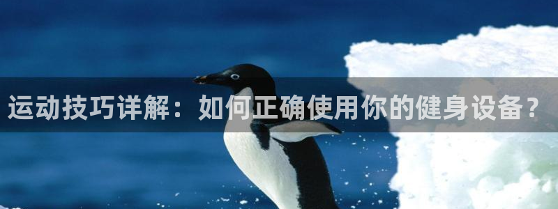 意昂体育4开户