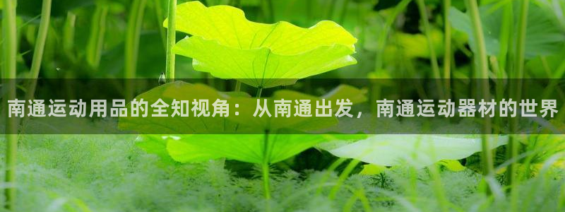 意昂4娱乐是那个系列的台子