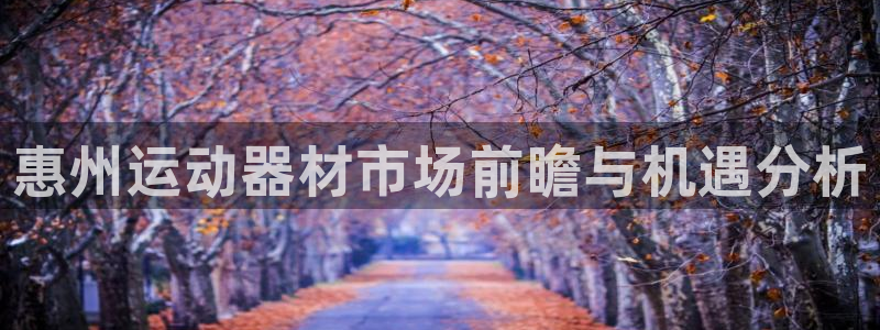 意昂体育4招商电话：惠州运动器材市场前瞻与机遇分析