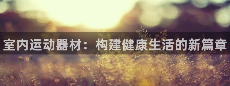 意昂体育4平台注册要钱吗是真的吗：室内运动器材：构建