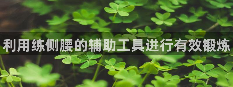 意昂体育4招商电话号码是多少：利用练侧腰的辅助工具进行有效锻