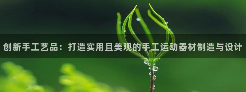意昂体育4平台是正规平台吗安全吗：创新手工艺品：打造实用且美