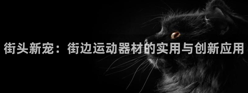 意昂4娱乐是那个系列的台子:街头新宠:街边运动器材的实用与创