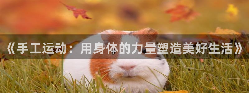 意昂4娱乐:《手工运动:用身体的力量塑造美好生活》