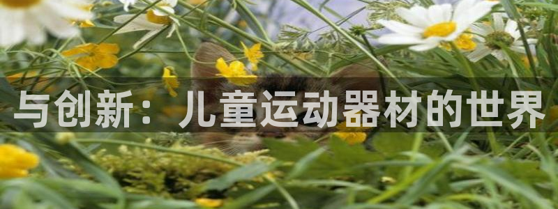 意昂体育4平台假的吗是真的吗吗:与创新:儿童运动器材的世界