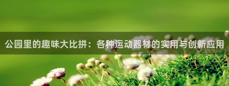 意昂体育4平台假的吗是真的吗吗:公园里的趣味大比拼:各种运动