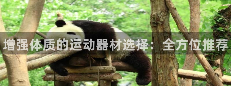 意昂体育4招商电话号码查询是多少：增强体质的运动器材