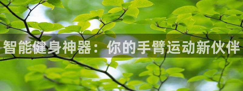意昂平台体育：智能健身神器：你的手臂运动新伙伴