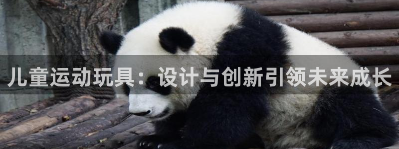 意昂4新能源：儿童运动玩具：设计与创新引领未来成长