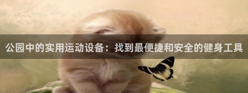 意昂4集团官网首页网址：公园中的实用运动设备：找到最便捷和安