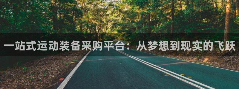 意昂体育4注册：一站式运动装备采购平台：从梦想到现实的飞跃