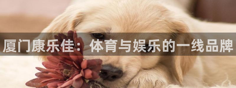 意昂4娱乐下载：厦门康乐佳：体育与娱乐的一线品牌