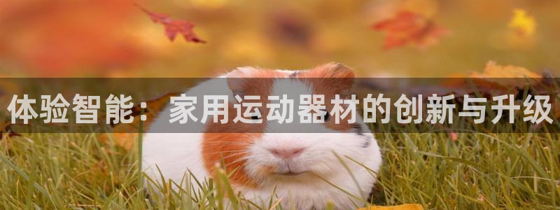 意昂4科技：体验智能：家用运动器材的创新与升级