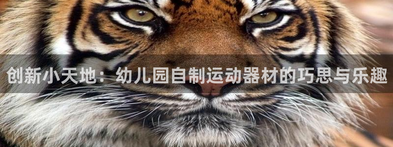 意昂体育4是干嘛的公司