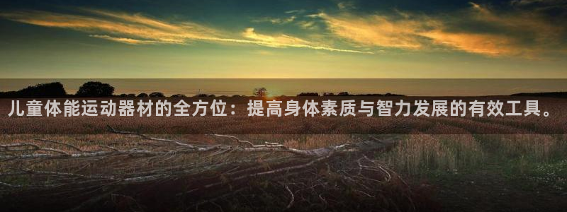 意昂4神州：儿童体能运动器材的全方位：提高身体素质与智力发展
