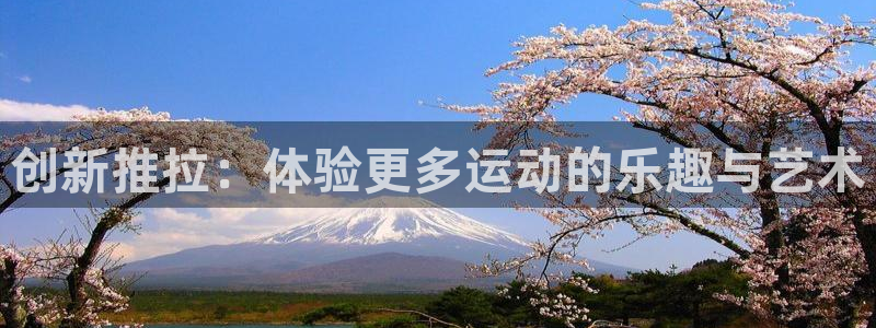 意昂4娱乐首页网站大全：创新推拉：体验更多运动的乐趣与艺术
