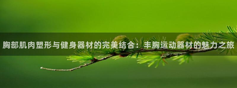 意昂体育4招商电话号码是多少啊：胸部肌肉塑形与健身器材的完美