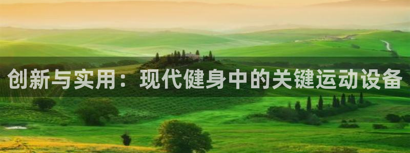 意昂4娱乐平台：创新与实用：现代健身中的关键运动设备