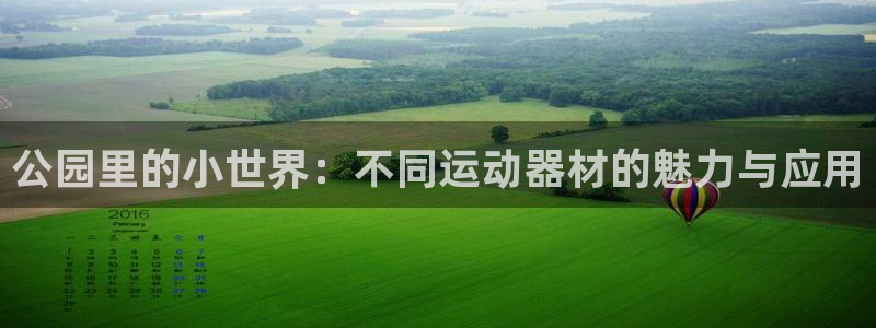 意昂4科技：公园里的小世界：不同运动器材的魅力与应用