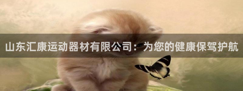 海南意昂体育4发展怎么样：山东汇康运动器材有限公司：为您的健