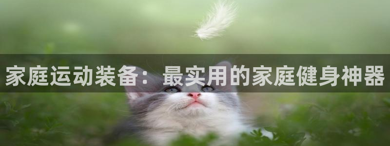 意昂4娱乐首页官网下载：家庭运动装备：最实用的家庭健