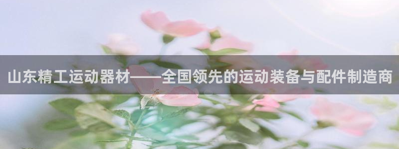 意昂体育4娱乐:山东精工运动器材——全国领先的运动装备与配件