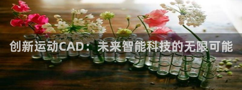 意昂体育4平台假的吗是真的吗:创新运动CAD:未来智能科技的
