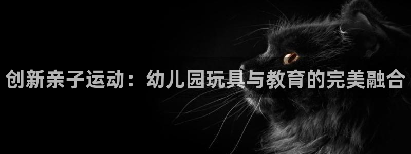 意昂4集团官网首页网址：创新亲子运动：幼儿园玩具与教
