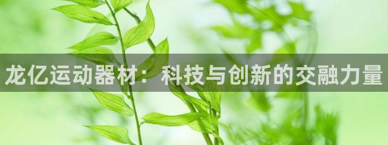 意昂4娱乐首页网站大全