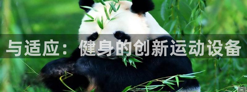意昂体育4招商电话号码查询是多少：与适应：健身的创新运动设备