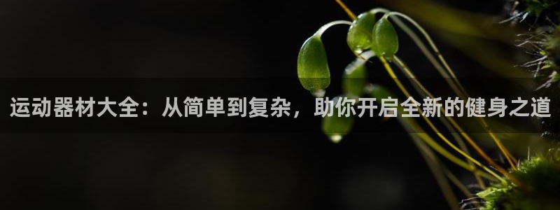 意昂4官方：运动器材大全：从简单到复杂，助你开启全新的健身之