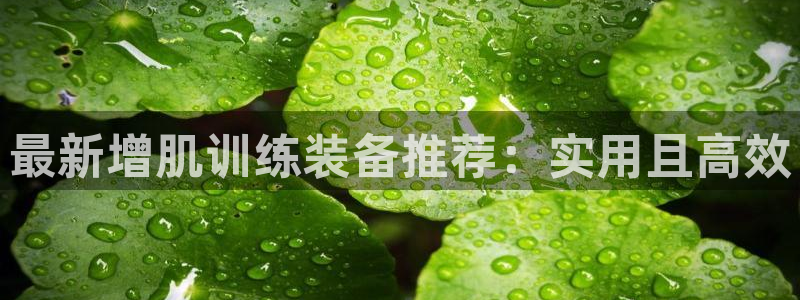 意昂4开户：最新增肌训练装备推荐：实用且高效