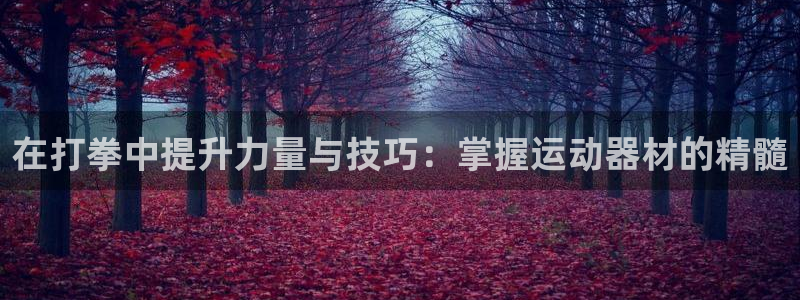 意昂体育4招商电话是多少啊：在打拳中提升力量与技巧：掌握运动