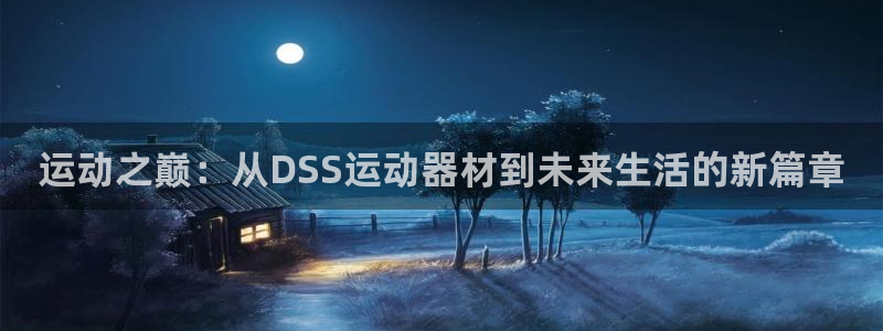 意昂体育4平台APP：运动之巅：从DSS运动器材到未来生活的