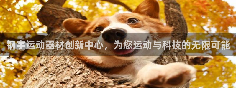 意昂体育4平台假的吗是真的吗吗：钢宇运动器材创新中心，为您运