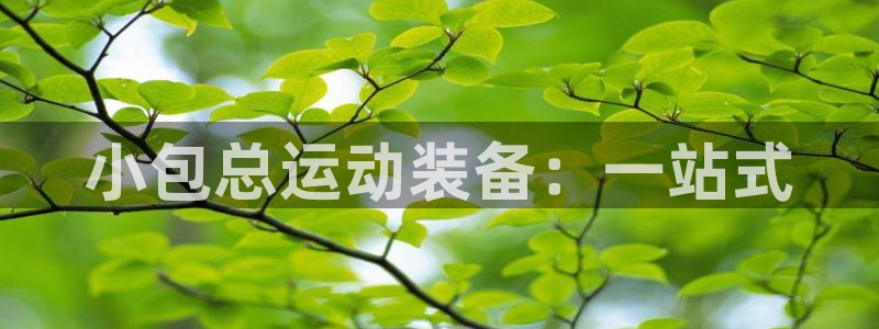 意昂4娱乐代理怎么样：小包总运动装备：一站式