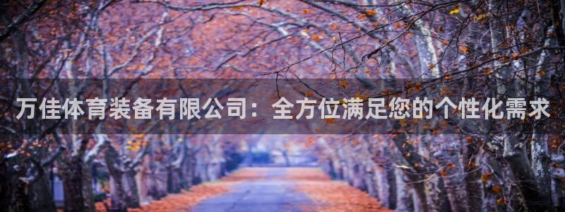 意昂4集团：万佳体育装备有限公司：全方位满足您的个性化需求