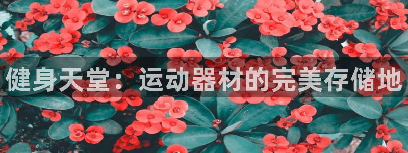 意昂体育4平台注册要钱吗：健身天堂：运动器材的完美存储地