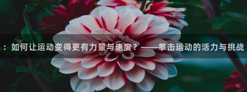 意昂体育4平台APP：：如何让运动变得更有力量与速度？——拳
