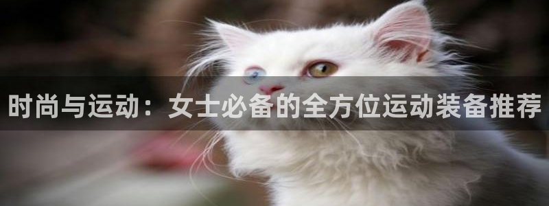 意昂4神州