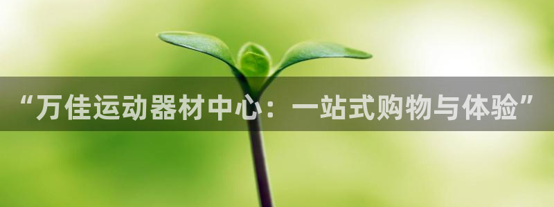 意昂体育4平台是正规平台吗安全吗