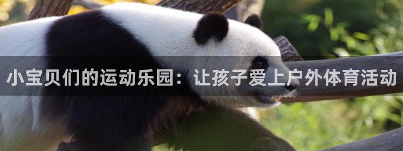 意昂体育4招商电话号码：小宝贝们的运动乐园：让孩子爱上户外体