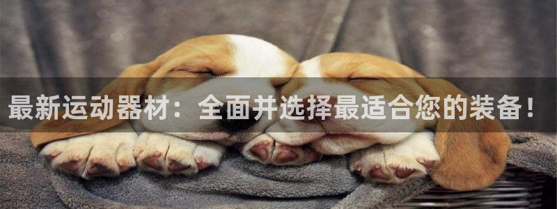 德国意昂4集团