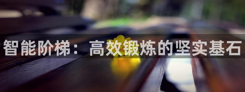意昂体育4软件：智能阶梯：高效锻炼的坚实基石